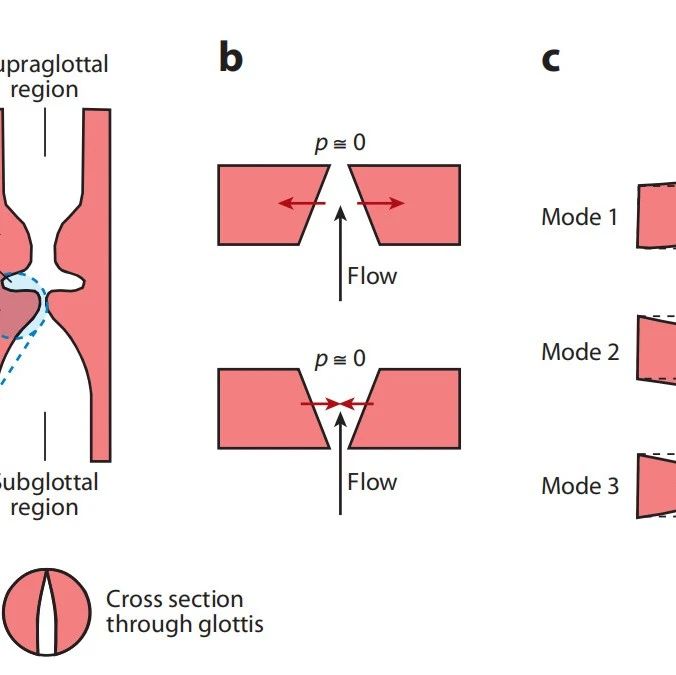 流固耦合(fluid-structure interaction)研究