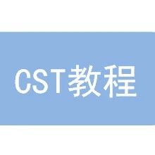 【CST教程002】什么是Frontend License Released?
