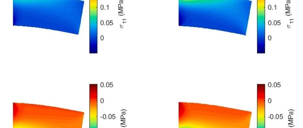 径向点插值方法（RPIM）模拟固体开裂的前沿研究