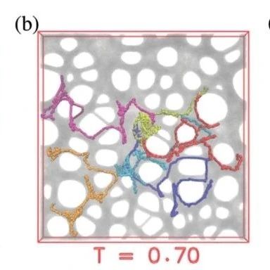 实验力学先进测量方法、技术与应用前沿进展分享