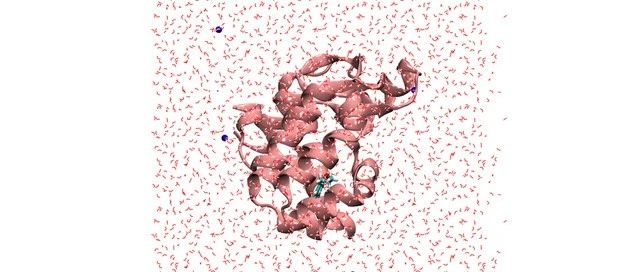 基于Gromacs的蛋白质与小分子配体相互作用模拟教程