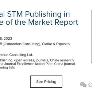 中国STM出版行业2023市场报告作者访谈