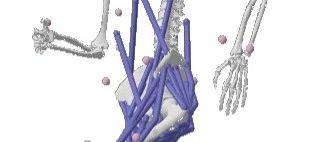 创新技术应用：生物医学工程仿真案例研讨会第二期8月开启（北京）