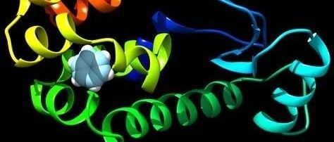 生成小分子力场TOP（ITP）文件(二)：生成oplsaa力场