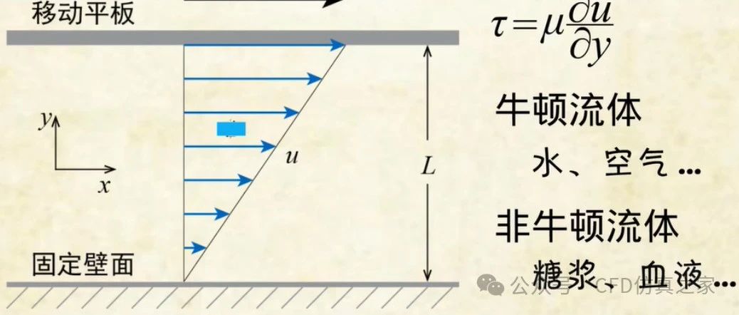 这是你理解的非牛顿流体吗？？？