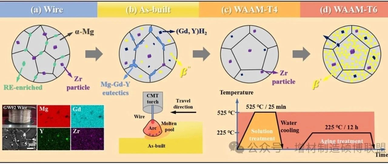 西工大林鑫顶刊丨热处理对电弧增材制造Mg-Gd-Y-Zr合金微观结构和机械性能的影响研究