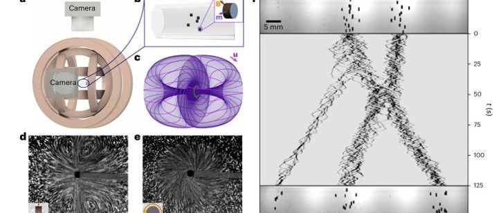 Nature Physics：自推进、聚集和手性活性相--来自中等雷诺数下旋转粒子的研究