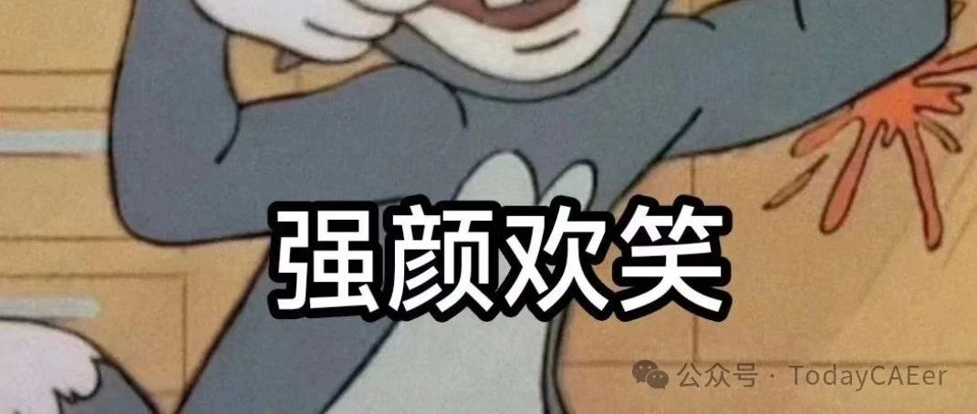 拓扑与形貌的组合优化