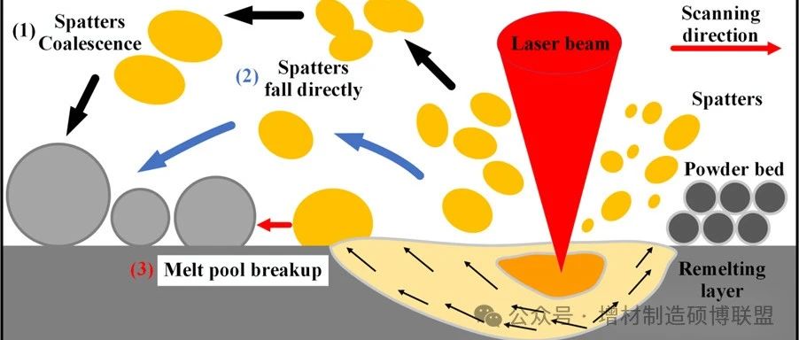 河北科大杨光教授顶刊丨大层厚316L激光粉床熔融的原位X射线成像及定量球化机制分析