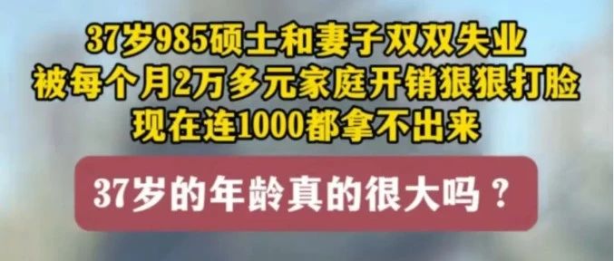 何以仿真，何以能智！由985硕士夫妻双双失业谈起