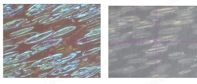 技术研究 | 改性PC材料注塑成型中的料花分析的可视化研究和原因的鉴别