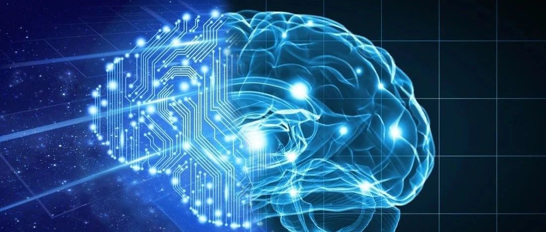 Cerebrus：颠覆未来的智能芯片设计