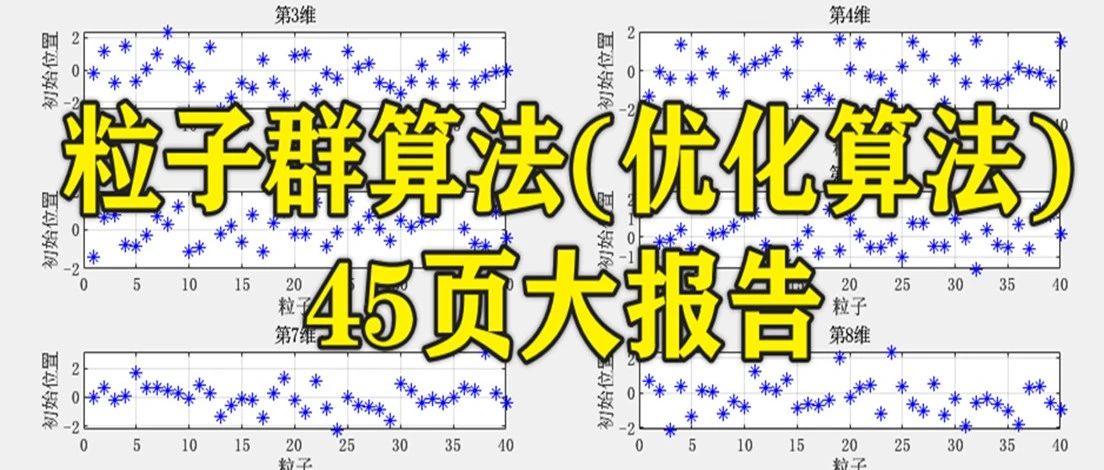 2-328基于Matlab的粒子群算法(优化算法)45页大报告