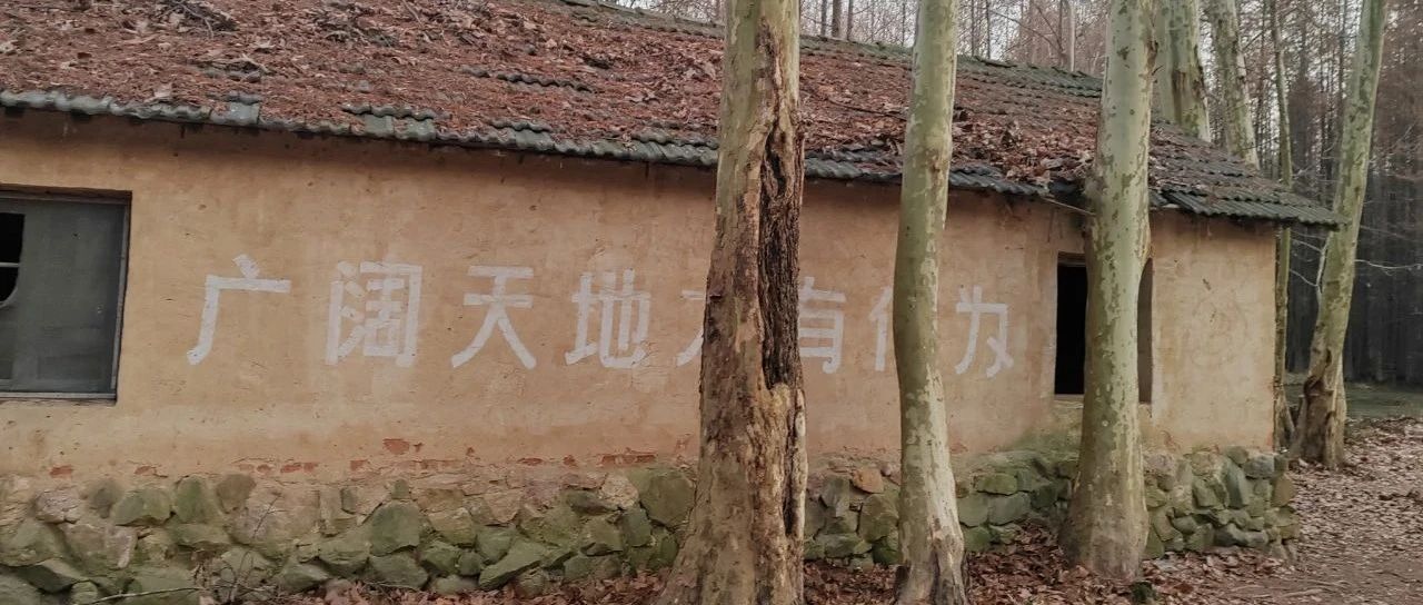 开源一些处理ODB文件的PYTHON程序