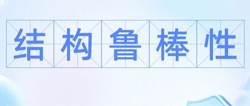 什么是鲁棒性？