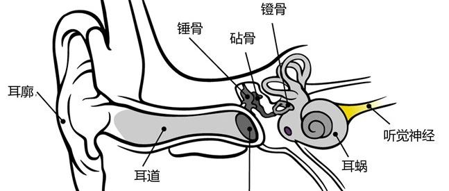 一文听懂声音玄学