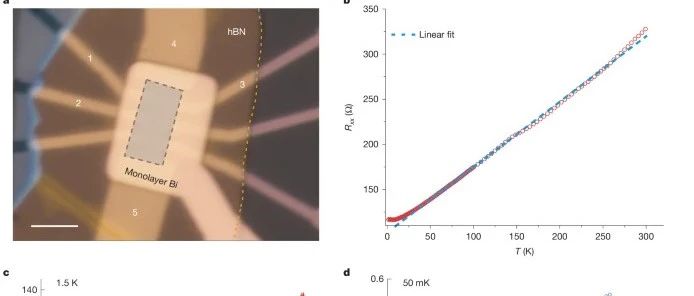 二维（2D）金属材料