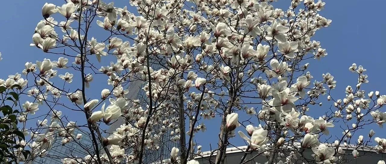 为什么很多人认为信号完整性工程师就是仿真工程师？