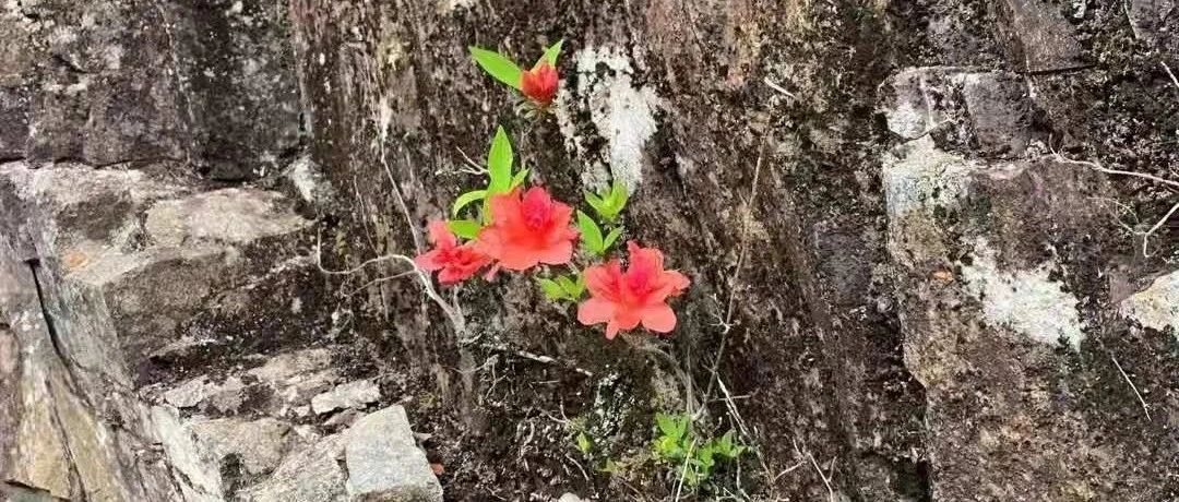 电源完整性基础知识