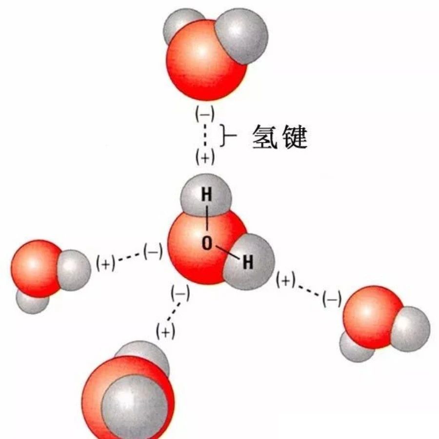 Gromacs氢键多维分析-从全局统计到局部特征的计算方法