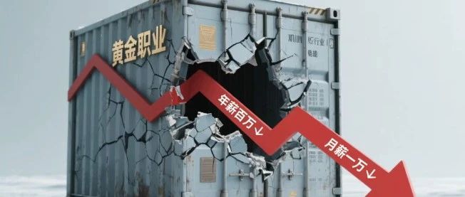 储能人才薪资暴跌：从年薪 200 万到月薪 1 万，黄金职业为何骤冷