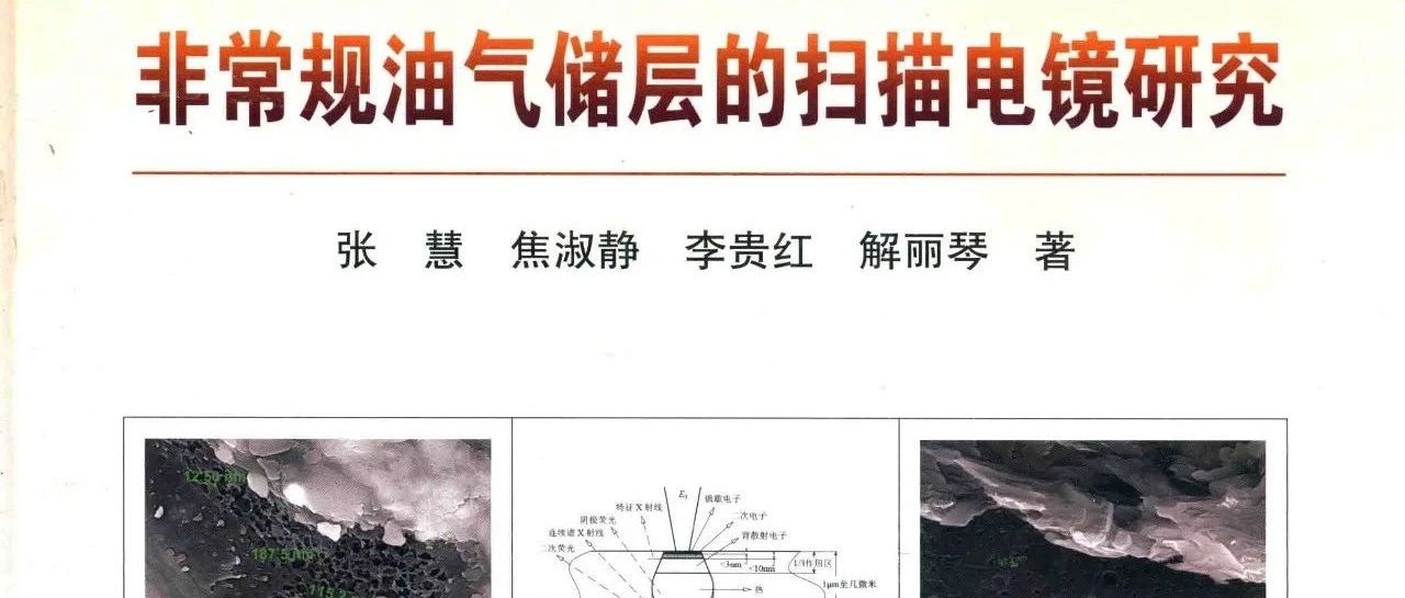 非常规储层扫描电镜研究