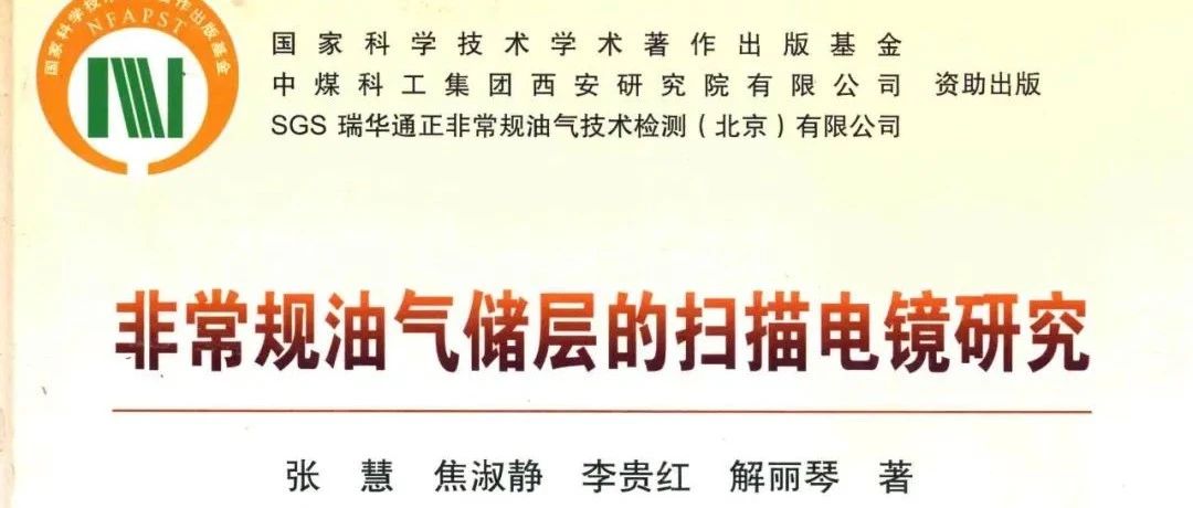 &lt;电子书分享>非常规储层扫描电镜研究