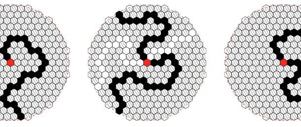 巴黎综合理工校友在二维渗流研究中实现重大突破