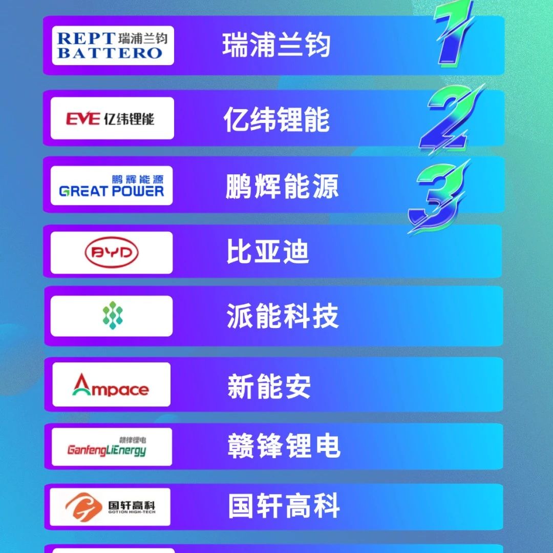 2025年H1全球户储(含便携式)出货量 Top10!