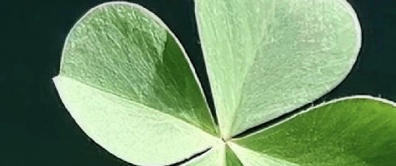 储氢瓶怪现象：车间不漏上路漏？这里头的道道得算着看