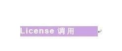 操作3| 远程license调用