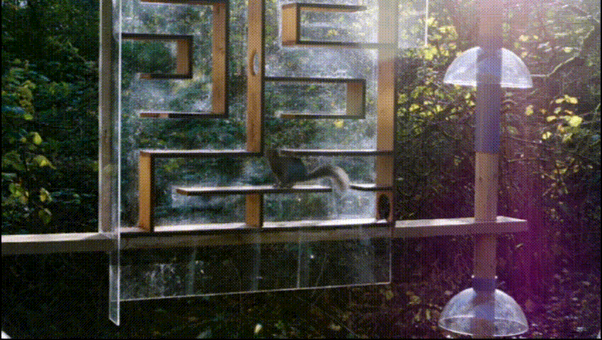 4.gif
