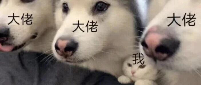 127、我刚进课题组，如何判断自己是否需要学习Fluent？