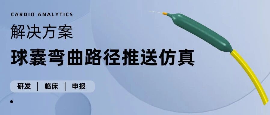 解决方案 — 球囊弯曲路径推送仿真