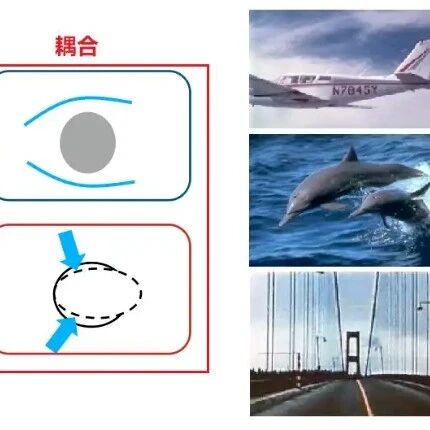 流-固耦合理论与工程应用难点解析培训（9月20-21日）