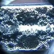 新能源汽车用聚丙烯基微发泡材料应该更关注熔体粘度还是熔体强度？