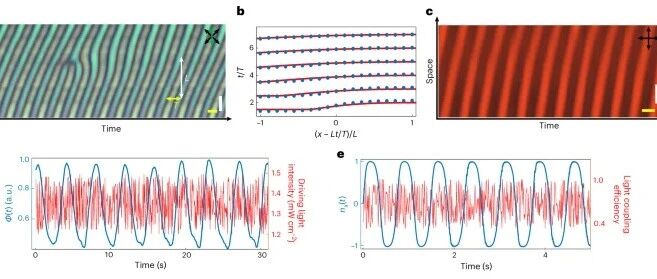 连续时空晶体（Continuous Space-Time Crystal, CSTC）