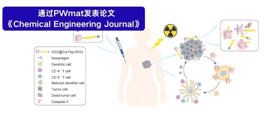 同价离子掺杂对用于放疗监测的持久发光纳米磷光体的变革性影响