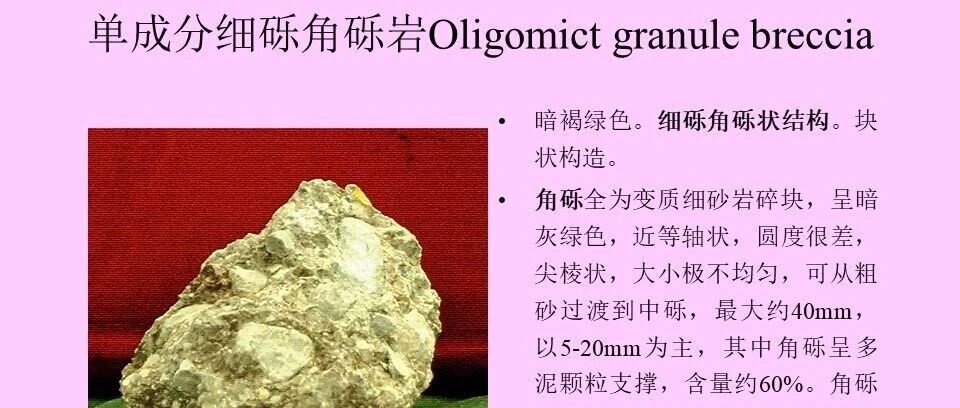 沉积岩手标本教学资料库