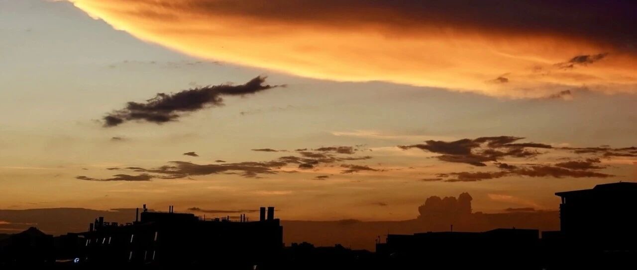 ANSA25版本模型管理