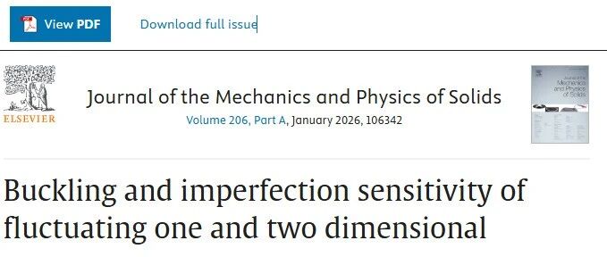 JMPS期刊|波动一维和二维纳米结构的屈曲和缺陷敏感性