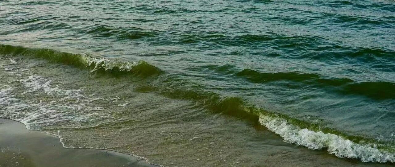 ANSA25版本几何清理功能讲解