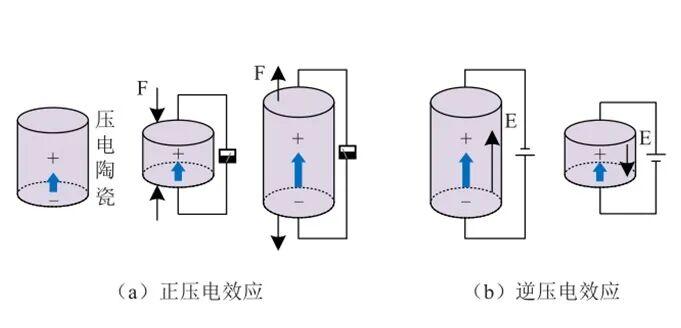 压电陶瓷:为超精密领域的发展打开了一扇门-要闻-资讯-中国粉体网