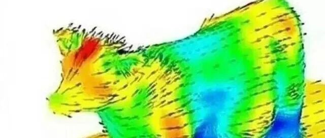 CAE纯牛马等级，你在哪一级