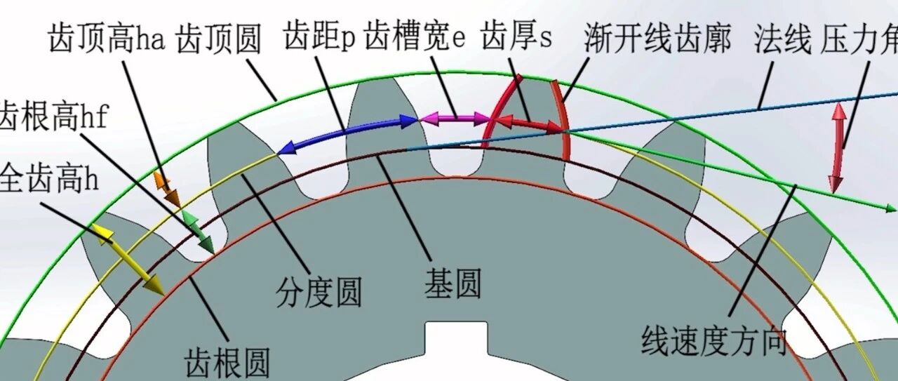 齿轮传动对机器人驱动很重要-渐开线齿轮参数与啮合线动画