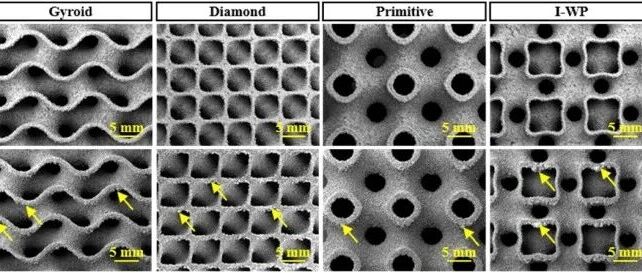 华中科大顶刊《JMRT》丨激光增材制造新型TPMS结构：高换热性能和良好的能量吸收性能
