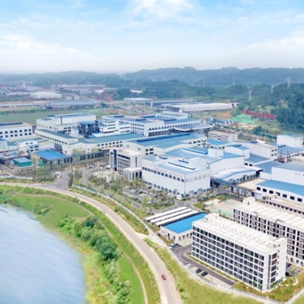 净利暴增235%！磷酸铁锂龙头赢麻了