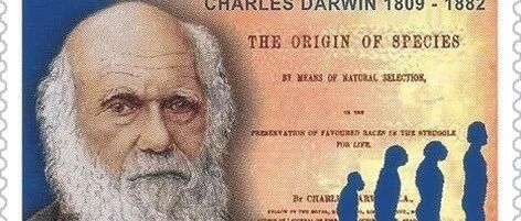 基于Python的遗传算法实现