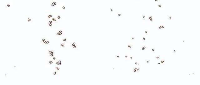 基于CP2K的高温下烷烃裂解分子动力学模拟