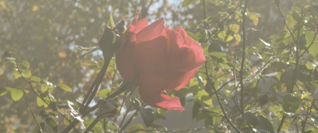 PLAXIS建模效率革命：从GUI点击到API“魔法”，你属于哪个级别？